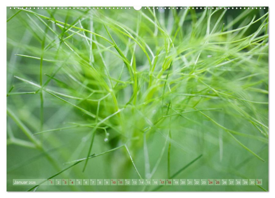 InsideView 5