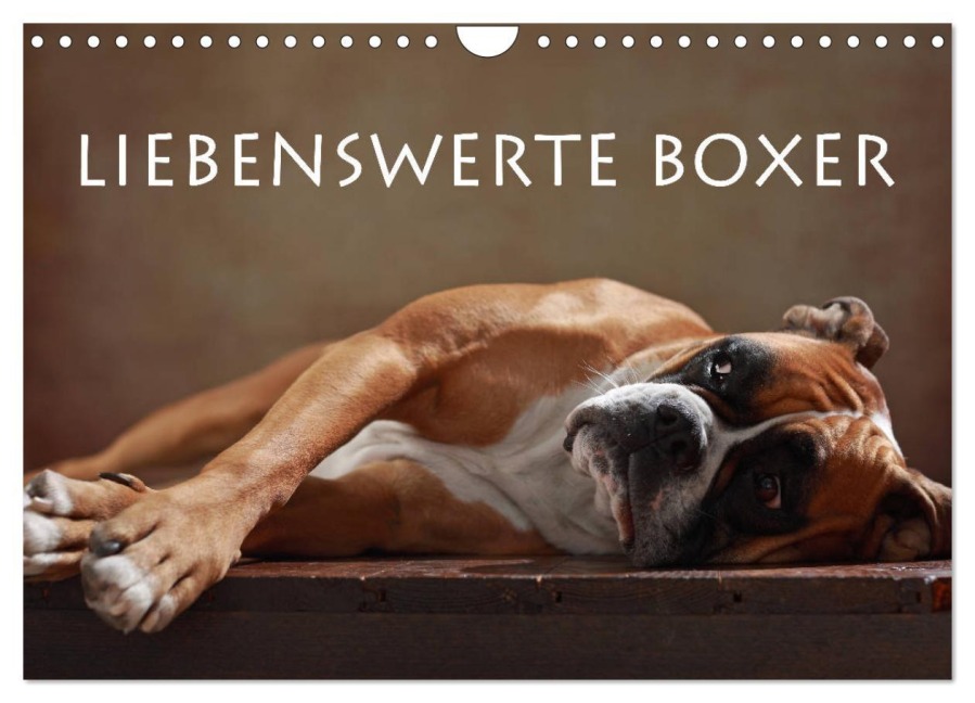 Liebenswerte Boxer (Wandkalender 2026 DIN A4 quer), CALVENDO Monatskalender - Jana Behr