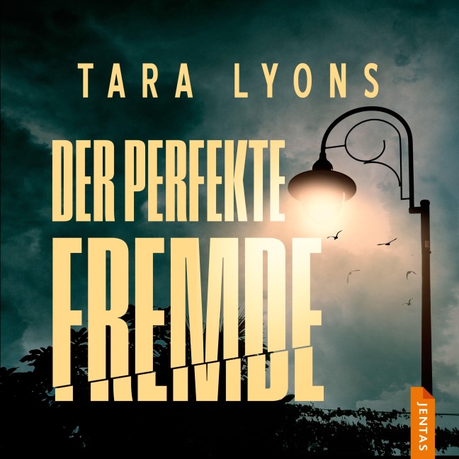 Der perfekte Fremde - Tara Lyons