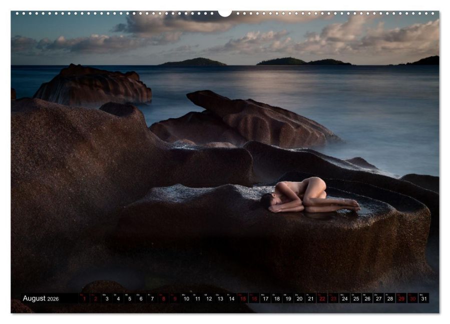 InsideView 12