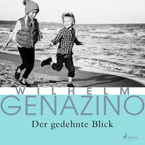 Der gedehnte Blick - Wilhelm Genazino