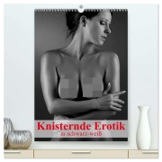 Knisternde Erotik in schwarz-weiß (hochwertiger Premium Wandkalender 2026 DIN A2 hoch), Kunstdruck in Hochglanz - Elisabeth Stanzer