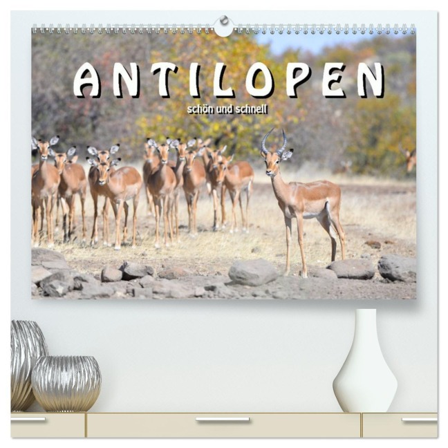 Antilopen, schön und schnell (hochwertiger Premium Wandkalender 2026 DIN A2 quer), Kunstdruck in Hochglanz - Robert Styppa
