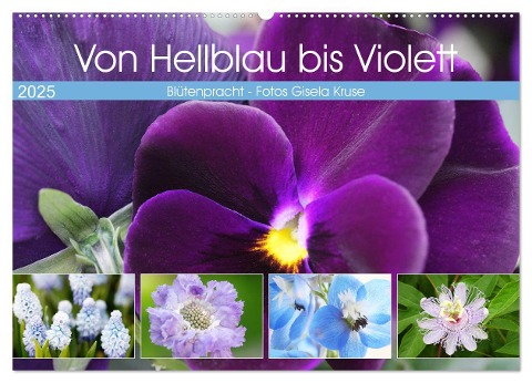 Von Hellblau bis Violett Blütenpracht (Wandkalender 2025 DIN A2 quer), CALVENDO Monatskalender - Gisela Kruse
