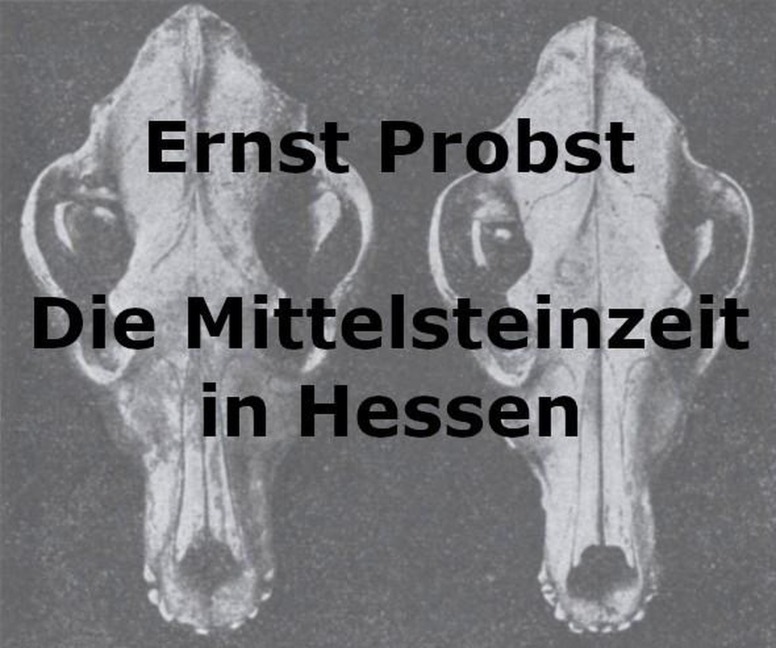 Die Mittelsteinzeit in Hessen - Ernst Probst