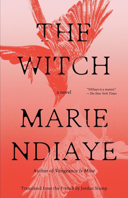 The Witch - Marie NDiaye