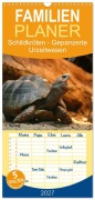 Cover-Bild zum Titel 'Familienplaner 2027 - Schildkröten - Gepanzerte Urzeitwesen mit 5 Spalten (Wandkalender, 21 x 45 cm) CALVENDO' von 'Barbara Mielewczyk'