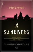 Cover-Bild zum Titel 'Sandberg - Der charmante Schurke in der Glut' von 'Andrea Instone'