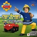 Cover-Bild zum Titel 'Folgen 99-103: In Pontypandy ist was los' von 'Reinhold Binder, Stefan Eckel'