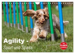 Agility - Sport und Spass (Wandkalender 2026 DIN A4 quer), CALVENDO Monatskalender - Fotodesign Verena Scholze