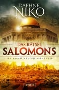Cover-Bild zum Titel 'DAS RÄTSEL SALOMONS' von 'Daphne Niko'
