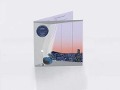 Cover-Bild zum Titel 'What Do The Stars Say To You' von 'Ron Presents WARM Trent'
