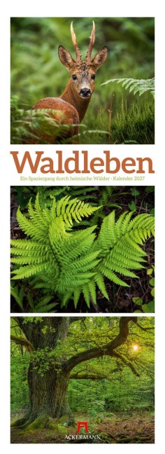 Waldleben Triplet-Kalender 2027 | Spaziergang durch heimische Wälder - Ackermann Kunstverlag GmbH