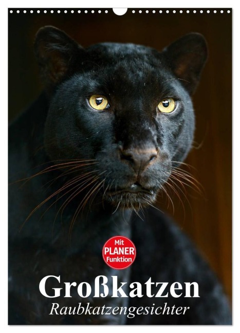 Großkatzen. Raubkatzengesichter (Wandkalender 2027 DIN A3 hoch), CALVENDO Monatskalender - Elisabeth Stanzer