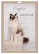 Cover-Bild zum Titel 'Ragdolls zum Verlieben (Wandkalender 2026 DIN A4 hoch), CALVENDO Monatskalender' von 'Marion Reiß-Seibert'