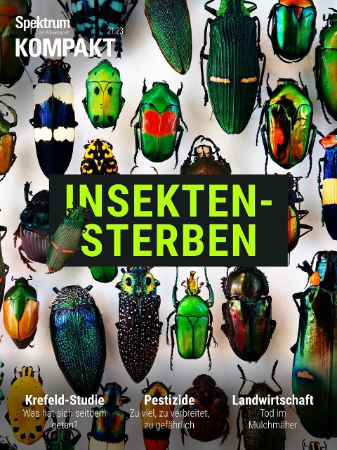 Spektrum Kompakt - Insektensterben - Spektrum der Wissenschaft