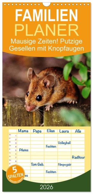 Familienplaner 2026 - Mausige Zeiten! Putzige Gesellen mit Knopfaugen mit 5 Spalten (Wandkalender, 21 x 45 cm) CALVENDO - Rose Hurley