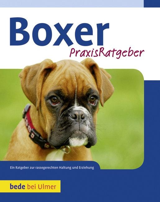 Boxer - Manuel Fritz