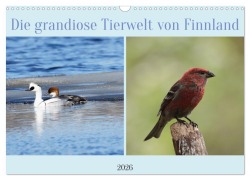 Cover-Bild zum Titel 'Die grandiose Tierwelt von Finnland (Wandkalender 2026 DIN A3 quer), CALVENDO Monatskalender' von 'Winfried Erlwein'