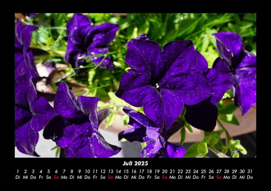 InsideView 11