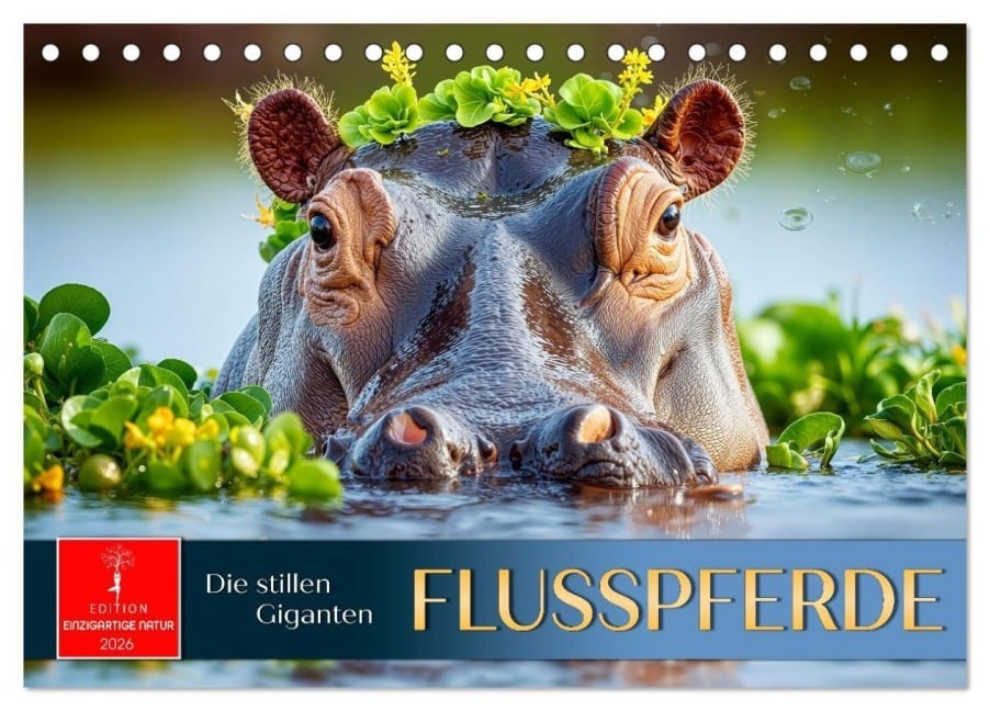 Flusspferde - die stillen Giganten (Tischkalender 2026 DIN A5 quer), CALVENDO Monatskalender - Roder Roder