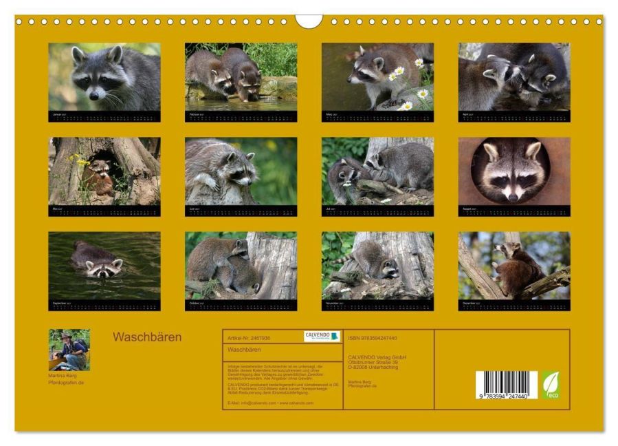 InsideView 5