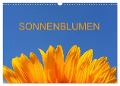 Sonnenblumen (Wandkalender 2024 DIN A3 quer), CALVENDO Monatskalender - Thomas Jäger