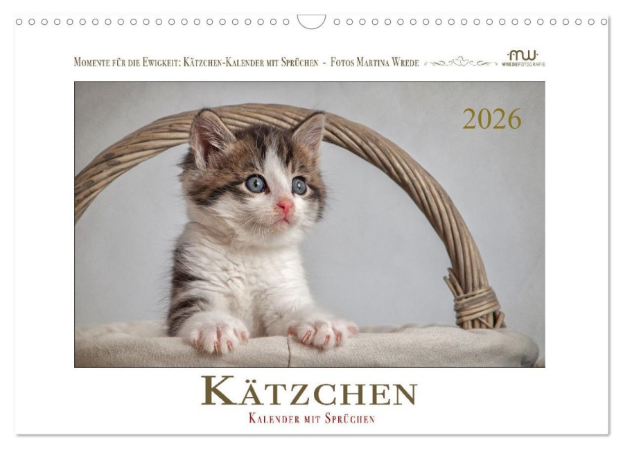 Kätzchen-Kalender mit Sprüchen (Wandkalender 2026 DIN A3 quer), CALVENDO Monatskalender - Martina Wrede - Wredefotografie