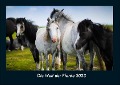 Die Welt der Pferde 2023 Fotokalender DIN A4 - Tobias Becker