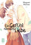 Cover-Bild zum Titel 'Ein Gefühl namens Liebe 13' von 'Megumi Morino'