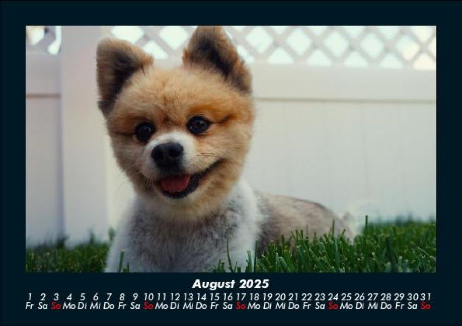 InsideView 12
