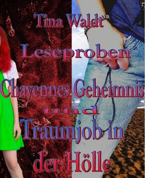 Chayennes Geheimnis/Traumjob in der Hölle - Tina Waldt