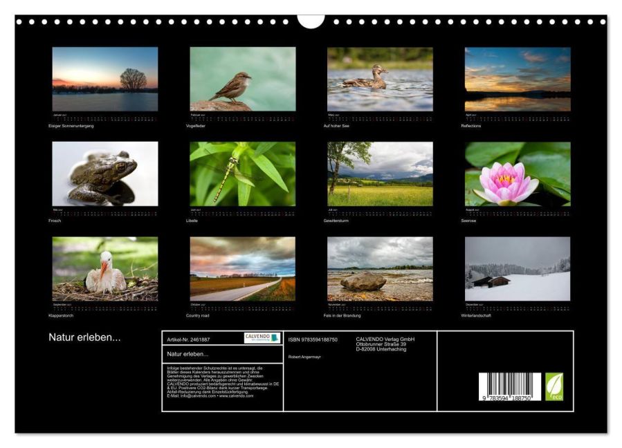 InsideView 5