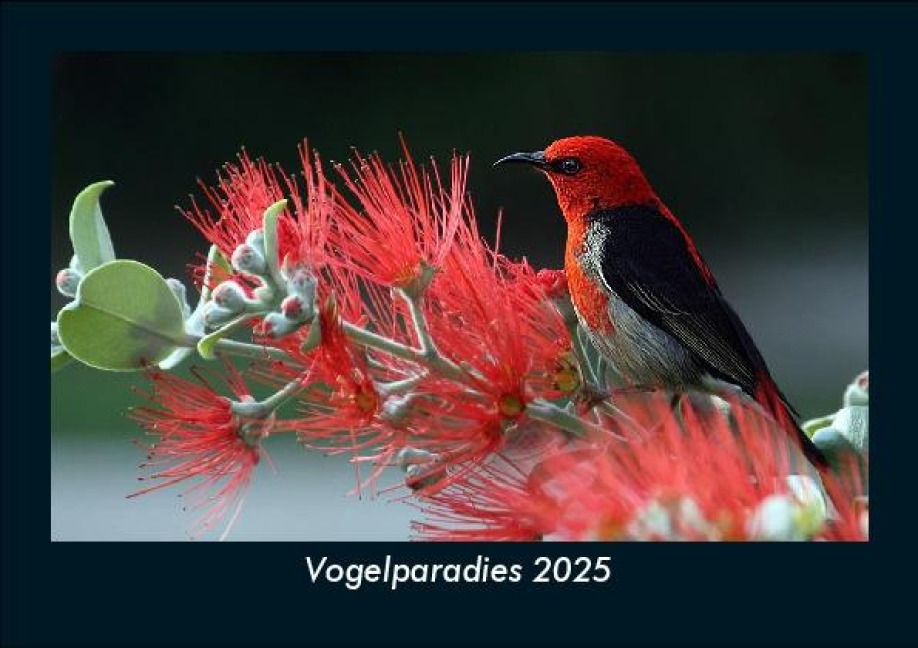Vogelparadies 2025 Fotokalender DIN A5 - Tobias Becker