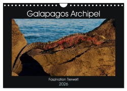 Cover-Bild zum Titel 'Galapagos Archipel- Faszination Tierwelt (Wandkalender 2026 DIN A4 quer), CALVENDO Monatskalender' von 'Photoemotion. com Photo4emotion. com'