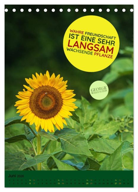 InsideView 11