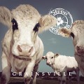 Cover-Bild zum Titel 'Grainsville' von 'Steve 'N' Seagulls'