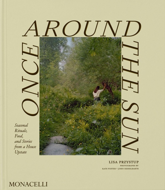 Once Around the Sun - Lisa Przystup, Kate Foster, John Hesselbarth, Christene Barberich