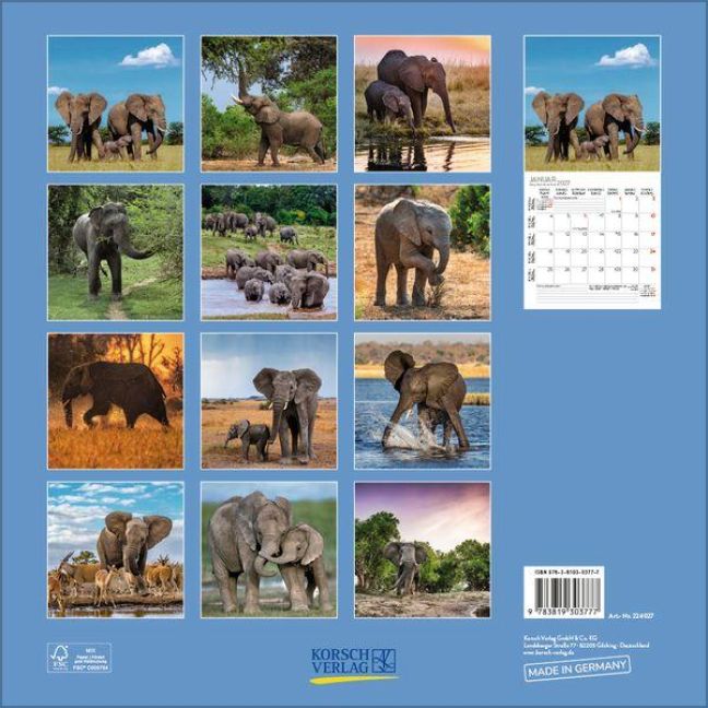 InsideView 13