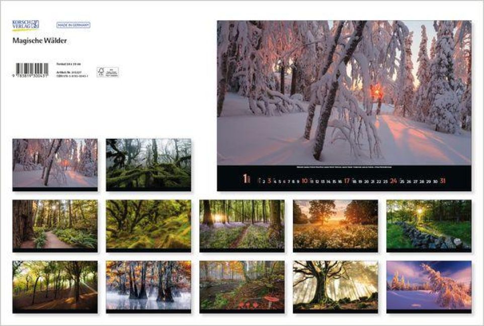 InsideView 13