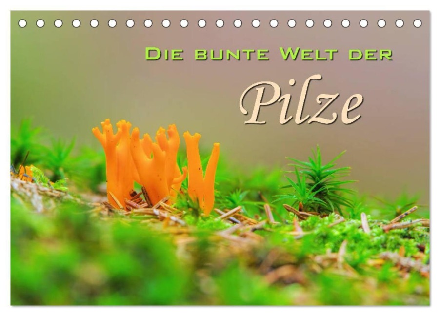 Die bunte Welt der Pilze (Tischkalender 2027 DIN A5 quer), CALVENDO Monatskalender - Lianem