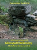 Cover-Bild zum Titel 'Lebensquelle Odilienberg' von 'Heike Antons, Andreas Hösl'