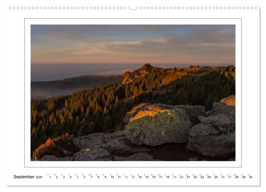 InsideView 14