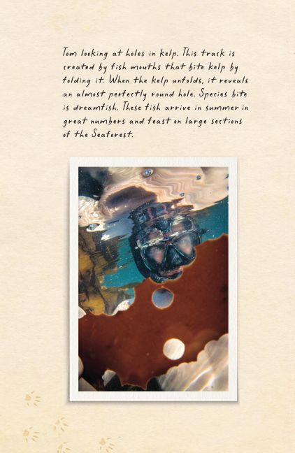 InsideView 5