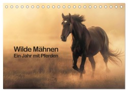 Cover-Bild zum Titel 'Wilde Mähnen: Ein Jahr mit Pferden (Tischkalender 2026 DIN A5 quer), CALVENDO Monatskalender' von 'Peter R. Stuhlmann'