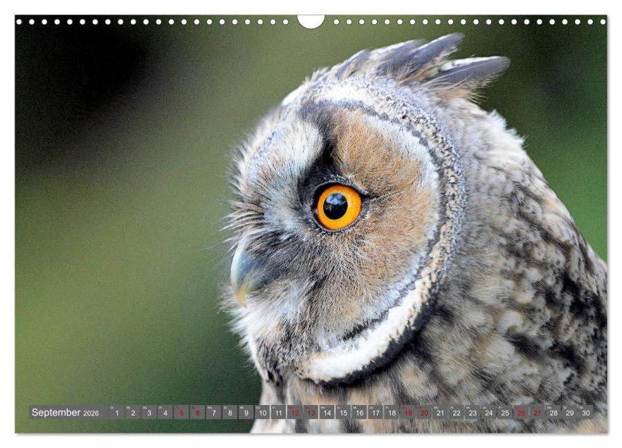 InsideView 14