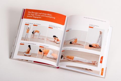InsideView 6