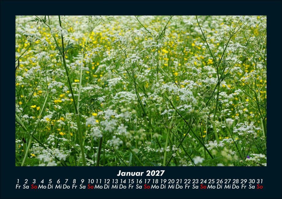InsideView 5