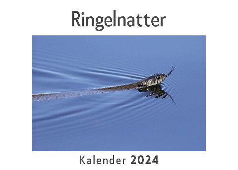 Ringelnatter (Wandkalender 2024, Kalender DIN A4 quer, Monatskalender im Querformat mit Kalendarium, Das perfekte Geschenk) - Anna Müller