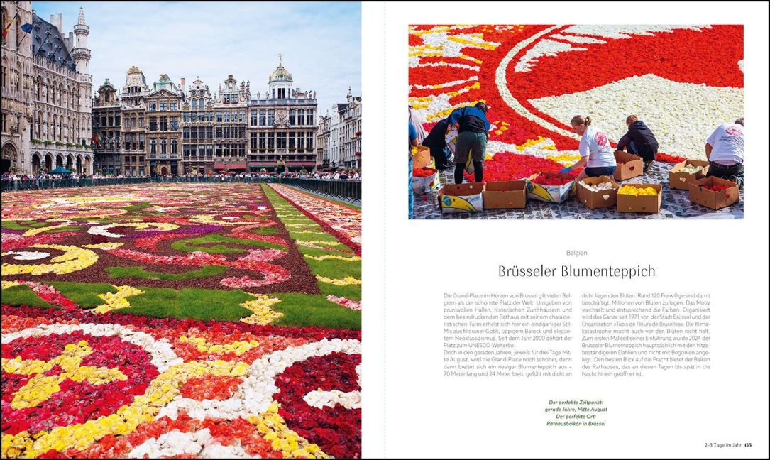 InsideView 4
